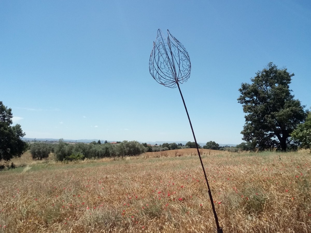 In terra di vulci